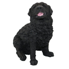 Black Newfoundland, Sitting Figurine Pet Cremation Urn - Funeral.com, Inc.