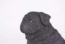 Black Pug Resin Figurine Extra Large Pet Urn - Funeral.com, Inc.