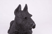 Black Schnauzer with Ears Up Resin Figurine Extra Large Pet Urn - Funeral.com, Inc.