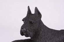 Black Schnauzer with Ears Up Resin Figurine Extra Large Pet Urn - Funeral.com, Inc.