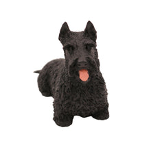 Black Scottish Terrier, Sitting Figurine Pet Cremation Urn - Funeral.com, Inc.