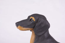 Black & Tan Coat Short - Haired Dachshund Figurine Extra Large Pet Urn - Funeral.com, Inc.