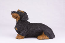 Black & Tan Coat Wire - Haired Dachshund Figurine Extra Large Pet Urn - Funeral.com, Inc.