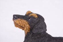 Black & Tan Coat Wire - Haired Dachshund Figurine Extra Large Pet Urn - Funeral.com, Inc.