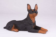 Black & Tan Miniature Pinscher with Ears Up Figurine Extra Large Pet Urn - Funeral.com, Inc.