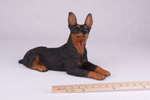 Black & Tan Miniature Pinscher with Ears Up Figurine Extra Large Pet Urn - Funeral.com, Inc.