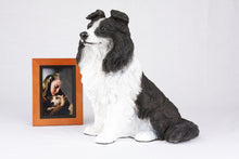 Black & White Coat Border Collie Figurine Extra Large Pet Urn - Funeral.com, Inc.