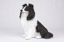 Black & White Coat Border Collie Figurine Extra Large Pet Urn - Funeral.com, Inc.