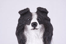 Black & White Coat Border Collie Figurine Extra Large Pet Urn - Funeral.com, Inc.