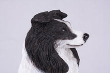 Black & White Coat Border Collie Figurine Extra Large Pet Urn - Funeral.com, Inc.