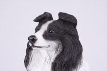 Black & White Coat Border Collie Figurine Extra Large Pet Urn - Funeral.com, Inc.