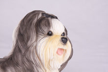 Black & White Parti - Color Shih Tzu Figurine Extra Large Pet Urn - Funeral.com, Inc.