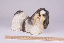 Black & White Parti - Color Shih Tzu Figurine Extra Large Pet Urn - Funeral.com, Inc.
