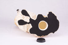 Black, White & Tan Tri - Color Sheltie Figurine Extra Large Pet Urn - Funeral.com, Inc.
