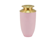 Blush Pink Aluminum Adult Cremation Urn with Brass Butterfly Lid - Funeral.com, Inc.
