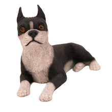 Boston Terrier, Lying Down Figurine Pet Cremation Urn - Funeral.com, Inc.