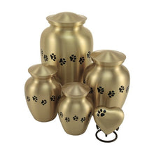 Brass Heart Keepsake Pet Urn with Classic Paw Print - Funeral.com, Inc.