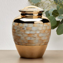 Brass Mother of Pearl Extra Large Pet Cremation Urn - Funeral.com, Inc.