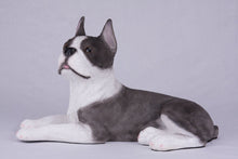 Brindle & White Coat Boston Terrier Figurine Extra Large Pet Urn - Funeral.com, Inc.