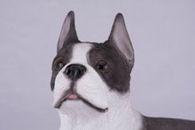 Brindle & White Coat Boston Terrier Figurine Extra Large Pet Urn - Funeral.com, Inc.