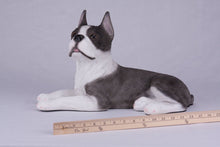Brindle & White Coat Boston Terrier Figurine Extra Large Pet Urn - Funeral.com, Inc.