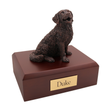 Bronze Bernese Mountain, Sitting Figurine Pet Cremation Urn - Funeral.com, Inc.