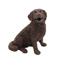 Bronze Bernese Mountain, Sitting Figurine Pet Cremation Urn - Funeral.com, Inc.