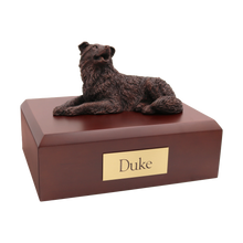 Bronze Border Collie, Lying Down Figurine Pet Cremation Urn - Funeral.com, Inc.