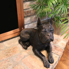 Bronze Boxer Lying Down with Ears Up ShadowCast Figurine Large Pet Urn - Funeral.com, Inc.