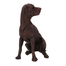 Bronze Great Dane with Ears Down, Sitting Figurine Pet Cremation Urn - Funeral.com, Inc.