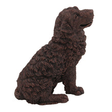 Bronze Newfoundland, Sitting Figurine Pet Cremation Urn - Funeral.com, Inc.