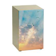 Bronze Stainless Steel Soaring Sky Adult Cremation Urn - Funeral.com, Inc.