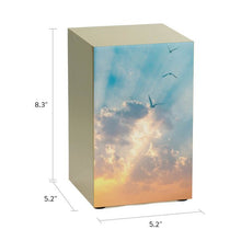 Bronze Stainless Steel Soaring Sky Adult Cremation Urn - Funeral.com, Inc.