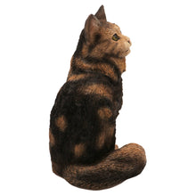 Brown and Tabby Maine Coon, Sitting Figurine Pet Cremation Urn - Funeral.com, Inc.