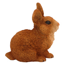Brown and White Rabbit, Sitting Figurine Pet Cremation Urn - Funeral.com, Inc.