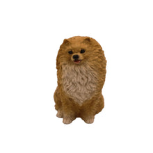 Brown Pomeranian, Sitting Figurine Pet Cremation Urn - Funeral.com, Inc.