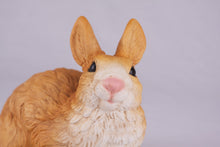 Brown Rabbit Resin Figurine Pet Urn - Funeral.com, Inc.