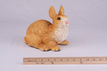 Brown Rabbit Resin Figurine Pet Urn - Funeral.com, Inc.