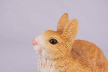 Brown Rabbit Resin Figurine Pet Urn - Funeral.com, Inc.