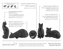 Cat Urn Size Chart