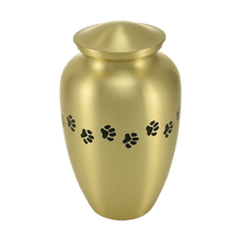 Classic Brass Paw Print Band Pet Extra Large Cremation Urn - Funeral.com, Inc.