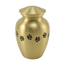 Classic Brass Paw Print Band Pet Medium Cremation Urn - Funeral.com, Inc.