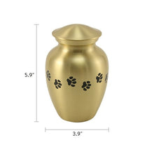 Classic Brass Paw Print Band Pet Medium Cremation Urn - Funeral.com, Inc.