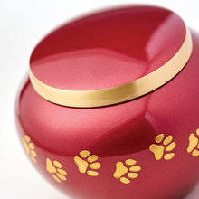 Classic Round Crimson Paw Band Medium Pet Cremation Urn - Funeral.com, Inc.