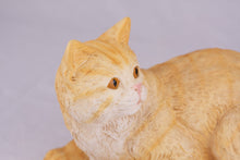 Cream & Light Orange Coat Shorthair Cat Figurine Pet Urn - Funeral.com, Inc.