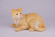 Cream & Light Orange Coat Shorthair Cat Figurine Pet Urn - Funeral.com, Inc.