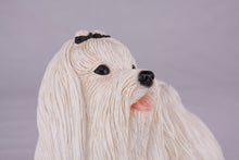 Cream Maltese Figurine Extra Large Pet Urn - Funeral.com, Inc.
