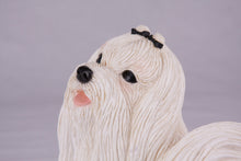 Cream Maltese Figurine Extra Large Pet Urn - Funeral.com, Inc.