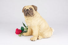 Fawn Pug Resin Figurine Extra Large Pet Urn - Funeral.com, Inc.