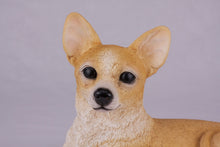 Fawn & White Chihuahua Figurine Extra Large Pet Urn - Funeral.com, Inc.